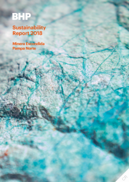 BHP Billiton Chile - Sustainability Report 2018 Minera Escondida Pampa Norte
