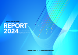 Sanyo Special Steel Co Ltd - Report 2024