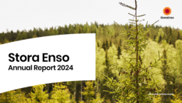 Stora Enso Oyj - Annual Report 2024