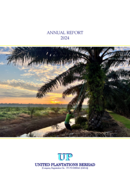 United Plantations Berhad - Annual Report 2024