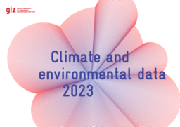 Deutsche Gesellschaft für Internationale Zusammenarbeit (GIZ) GmbH - Climate and Environmental Data 2023
