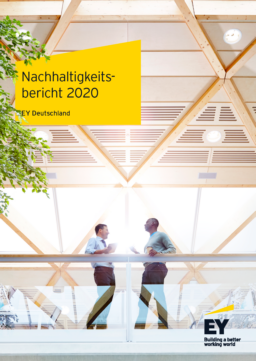 Ernst & Young GmbH Wirtschaftsprufungsgesellschaft - Nachhaltigkeitsbericht 2020
