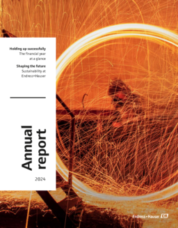 Endress+Hauser AG - Annual Report 2024