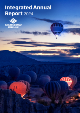 Anadolu Hayat Emeklilik AŞ - Integrated Annual Report 2024