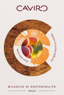 Caviro SCA - Bilancio di Sostenibilita 2024