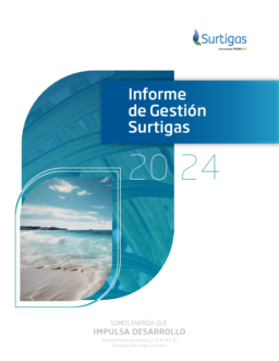 Surtidora de Gas del Caribe SA ESP - Informe de Gestión 2024