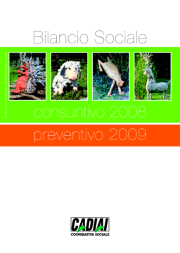 Cadiai Cooperativa Sociale - Bilancio Sociale consuntivo 2008 preventivo 2009
