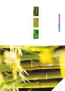 Crédit Mutuel Arkéa - Rapport RSE 2008