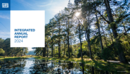 WEG SA - Integrated Annual Report 2024