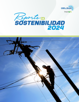 Distribuidora de Electricidad DELSUR SA de CV - Reporte de Sostenibilidad 2024