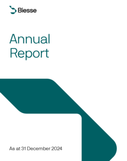 Biesse SpA - Annual Report as at 31 December 2024