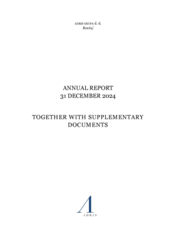 Adris Grupa dd - Annual Report 31 December 2024