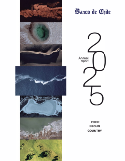 Banco de Chile - 2025 Annual Report