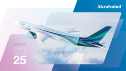 Akzo Nobel NV - AkzoNobel Report 2025