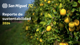 SA San Miguel - Reporte de Sustentabilidad 2024