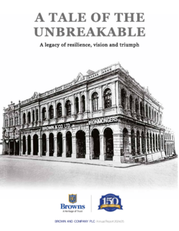 Brown and Company PLC - Annual Report 2024/25. A Tale of the Unbreakable