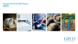 Lifco AB - Annual and Sustainability Report 2025