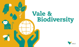 Vale SA - Vale & Biodiversity (2017)