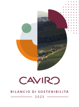 Caviro SCA - Bilancio di Sostenibilita 2025