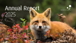 Bavarian Nordic AS - Annual Report 2025