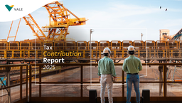 Vale SA - Tax Contribution Report 2025