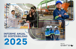 Grupo Carso SAB de CV - Informe Anual de Sostenibilidad 2025