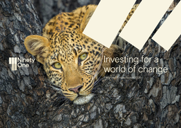Ninety One plc - Integrated Annual Report 2026. Investing for a world of change