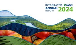 Banco Nacional de Desenvolvimento Economico e Social - Integrated Annual Report 2024