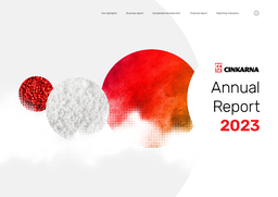 Cinkarna Celje dd - Annual Report 2023