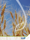 Syngenta AG - Annual Review 2010