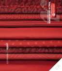 Lojas Renner SA - Sustainability Report (2010)