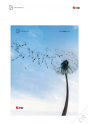 Energias do Brasil SA - Annual Report 2010. Smart Energy World