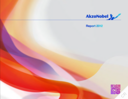 Akzo Nobel NV - AkzoNobel Report 2012