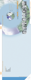 Weldwood of Canada Ltd - 1999 Environmental Progress Review. Looking back, moving forward